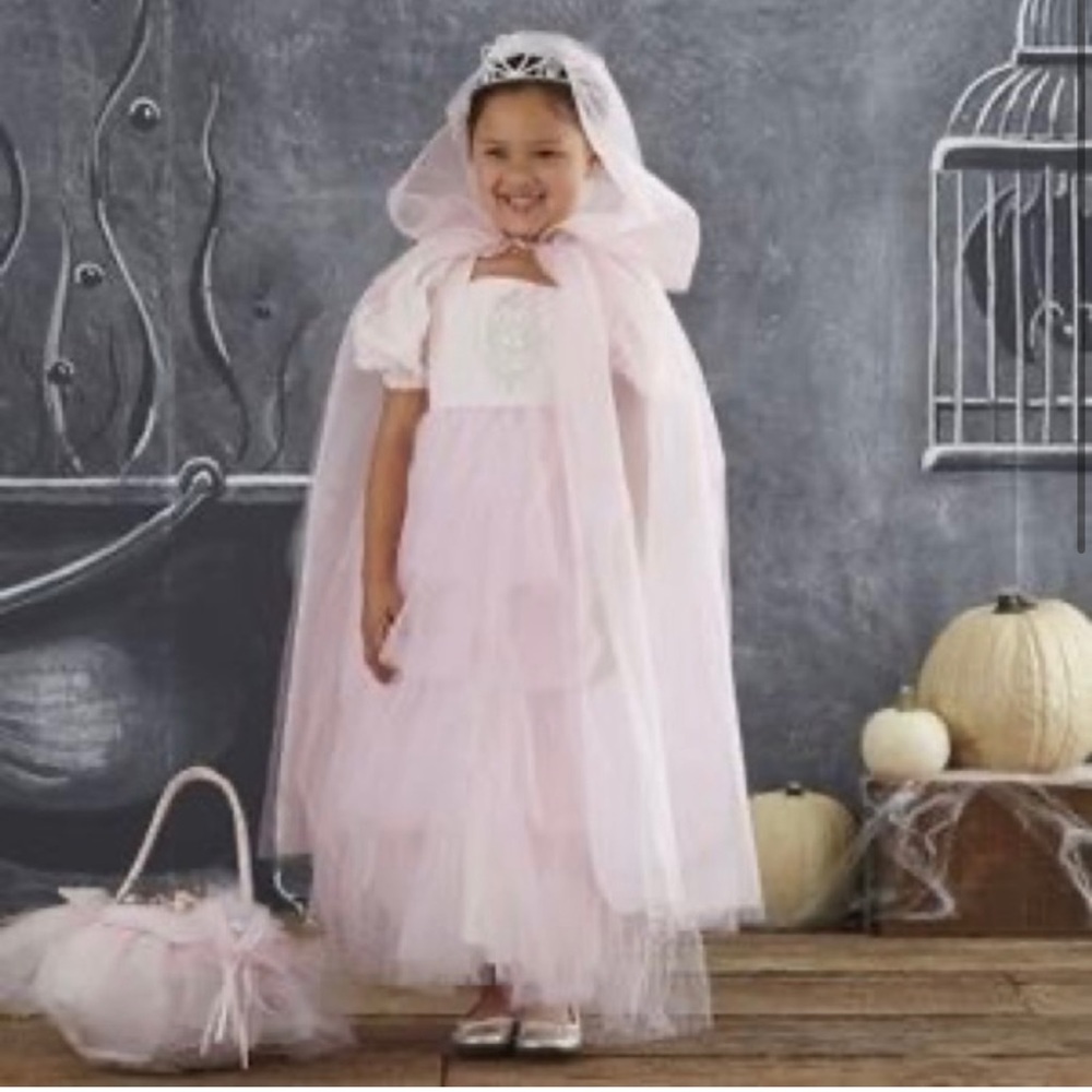 Pottery barn pink princess costume with tiara